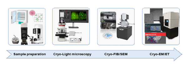 센터 내 cryo-CLEM work flow