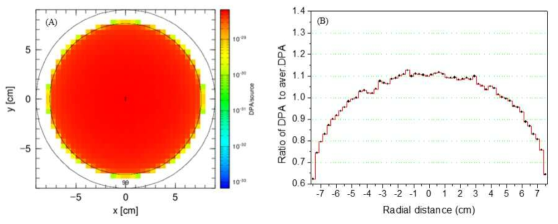 (A) X-Y 평면으로 나타낸 HANARO 중성자 조사에 의해 SiC 잉곳 내부에 생성되는 DPA/neutron의 분포, (B) 반경 방향 위치 DPA의 상대 비율