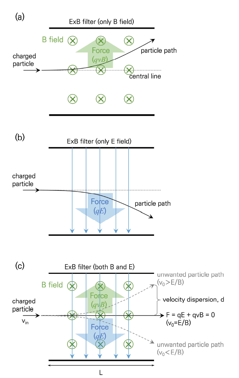 E×B filter의 원리. (a) 자기장(B field)만 존재할때의 입자 경로, (b) 전기장(E field)만 존재할 때 입자 경로, (c) 자기장과 전기장이 교차할 때 (E×B)의 입자 경로