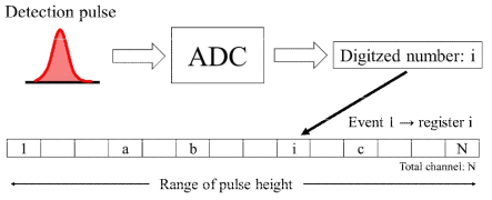 다중 채널 분석기 (Multi-Channel analyzer, MCA)의 작동 원리