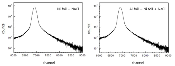 The source correction spectrum for PALS experimental