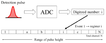 다중 채널 분석기 (Multi-Channel analyzer, MCA)의 작동 원리