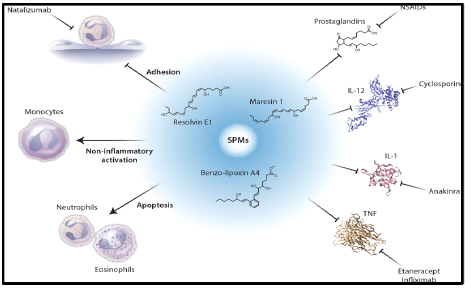 FPR2-SPMs 매개 염증 해소 작용