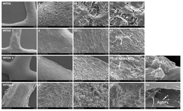 SEM images of crosslinked and freeze-dried 3D printed hydrogel filament structures: MPOA (A-A2), MPOA-1 (B-B2), MPOA-2 (C-C3), and MPOA-3 (D-D3)