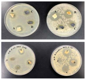 Antibacterial activity of (A) MPOA, (B) MPOA-1, (C) MPOA-2, and (D) MPOA-3 hydrogels