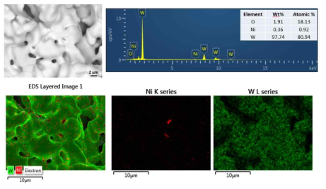 W-Ni 강화상 패턴의 EDS 분석 결과