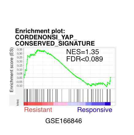 항 PD-1 항체 불응성 암종과 반응성 암종에서 YAP-conserved signature 변화