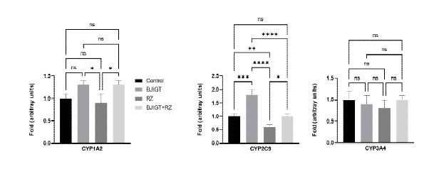 인간 간세포에서 cytochrome p450 mRNA Control: transgenic mice (hSOD1G93A), BJIGT:보중익기탕 투여한 hSOD1G93A 그룹, RZ: riluzole 투여한 hSOD1G93A 그룹, BJIGT+RZ: BJIGT와 riluzole 병행 투여한 Tg (hSOD1G93A) 그룹