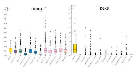 TCGA 데이터베이스를 통한 RNA-seq 기반 암종별 인자 발현량 분석