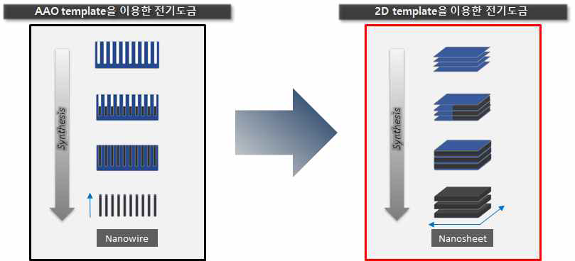 2D 템플릿을 이용한 복합구조체 제작의 모식도