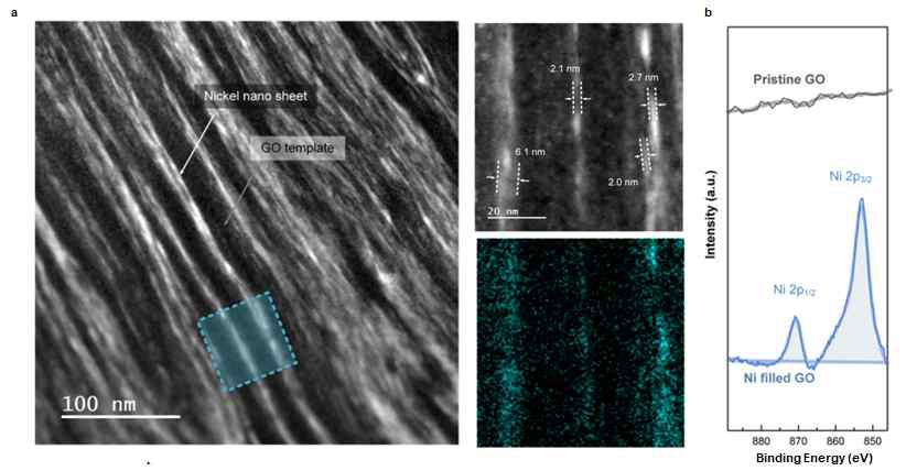 템플릿 내 이차원 금속의 실현 가능성. (a) 단면의 TEM 분석을 통해 확인된 금속 나노시트의 모습. EDS mapping 이미지 내 청색은 Ni의 조성분포. (b) XPS 분석을 통해 확인된 Ni 조성