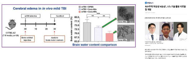 외상성 뇌손상의 치료에 매우 효과적인 연구결과를 보이는 막대형 세리아 나노입자(좌); 관련 기사 (2022년 2월 7일 연합뉴스 인터넷판 (우))