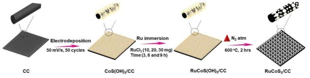 RuCoS2/CC  전극시스템 구성과정