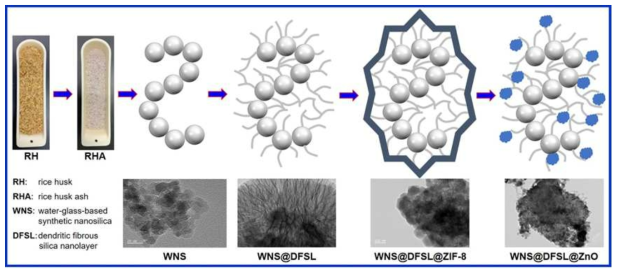 왕겨 --> 왕겨재 ---> 물유리기반 실리카 --> 물유리기반 실리카상 돌기섬유형실리카층 형성 --> Zn 기반 배위고분자복합체층 형성 -->􀀁 산화아연 담지된 나노복합소재 형성과정 모식도