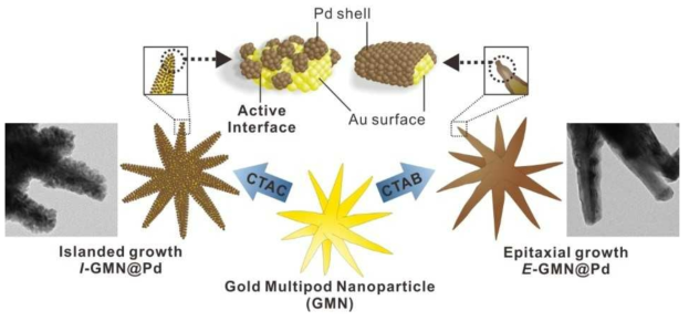 계면접합부가 다른 두가지의 GMN@Pd  NPs  형성과정