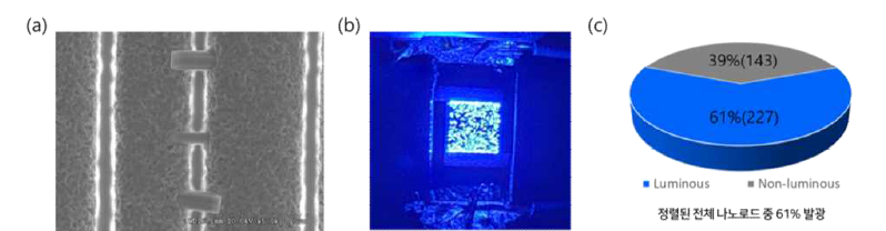 (a) 전해도금 이후 나노로드 LED 소자의 SEM 이미지, (b) 발광 이미지, (c) 나노로드 점등수율을 나타낸 표