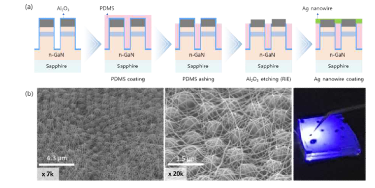(a) 나노로드 내 고분자 도포 및 p-GaN 노출 모식도 (b) Ag nanowire 코팅 SEM, EL 발광 이미지