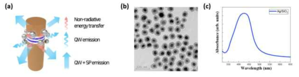(a) LSP coupling 모식도, (b) Ag/SiO2 나노입자 TEM 이미지, (c) Ag/SiO2 나노입자 UV-vis spectrum