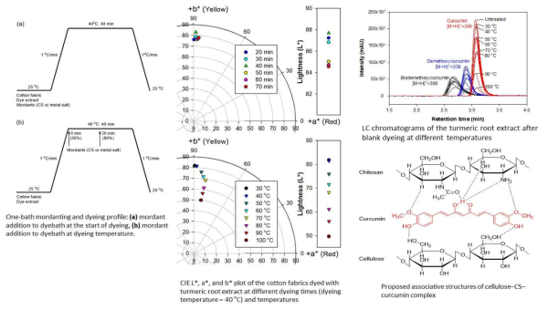 Textile dyeing with turmeric root extract and chitosan