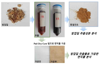 밤껍질 추출물 분석 및 면직물 가공 개요