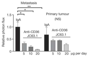 CD36-blocking antibodies therapeutically inhibit metastasis of OSCC tumours. (Nature. 2017 Jan 5;541(7635):41-45)