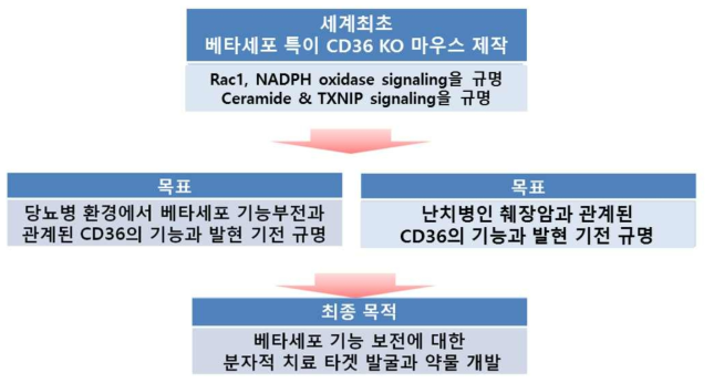 연구과제 목표>