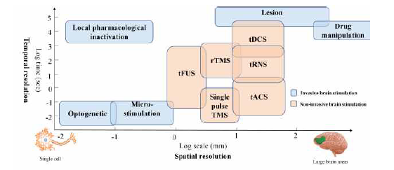 다양한 뇌 중재 방법의 시간적 해상도와 공간적 해상도