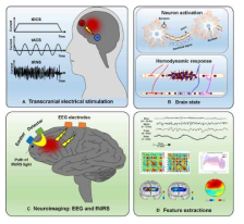 전기자극, EEG, fNIRS, 특징점 추출의 개념도: (A) 세가지 종류의 전기자극 (transcranial direct current stimulation: tDCS, transcranial alternating current stimulation: tACS, transcranial random noise stimulation: tRNS), (B) 신경활동에 의한 혈류역학 반응, (C) EEG와 fNIRS의 원리, (D) 신경학적 신호의 다양한 특징점 추출