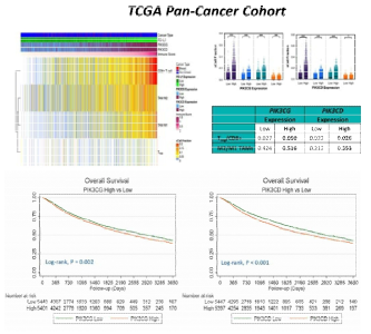 TCGA Pan-Cancer cohort에서 target gene 검증