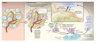 Radiation as an immune modulator (Citrin DE et al, NEJM 2017)