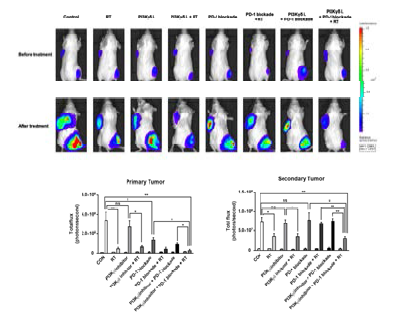 각 그룹 별 IVIS imaging