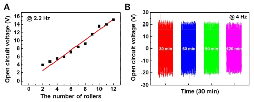 TENG 소자의 성능 평가 (A) 베어링 구조에 삽입한 롤러 수에 따른 발전 전압의 비례 정도 (B) 12개의 롤러를 사용한 베어링 구조를 4 Hz 로 구동했을 때 신뢰성 테스트