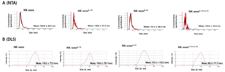 면역활성강화-NK 세포 유래 엑소좀 (NK-exoIL-15+IL-21) 크기 분석 (NTA, DLS)