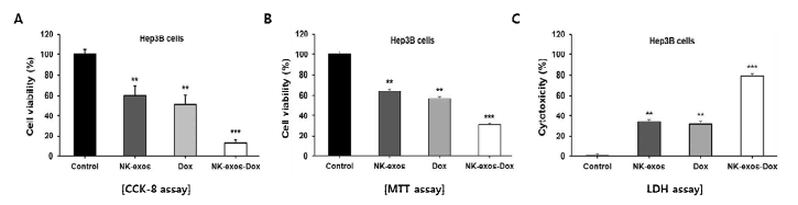 NK cell 유래 엑소좀 (NK-exo)의 약물담지 (Dox) 효능 평가