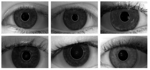 Sub-block-based template matching과 Two CED를 사용하여 검출된 iris and pupil circular boundaries