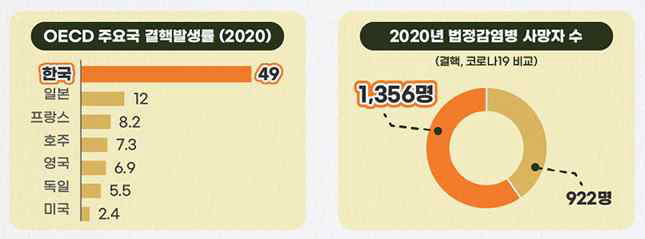 질병관리청: 국내의 결핵 현황 (2020년)