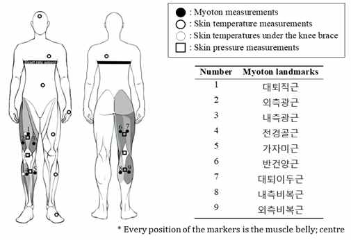 Measurement items and body regions for the measurements