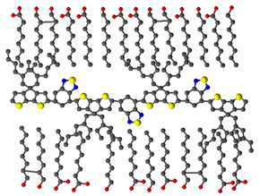 Micelle structure of a conjugated polymer nanoparticle