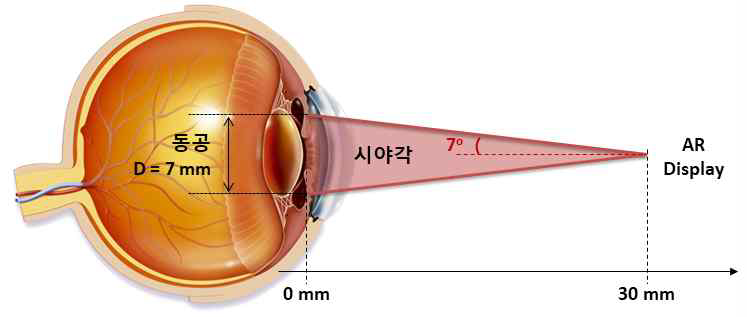 개인용 디스플레이의 유효시야각 개념도