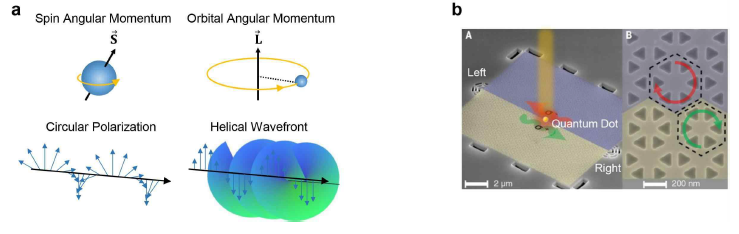 (a) 광학 스핀궤도 상호작용의 개념도 (b) 광학 스핀궤도 상호작용의 증빙 실험 [(b) 출처: Science 359, 6376 (2018)]