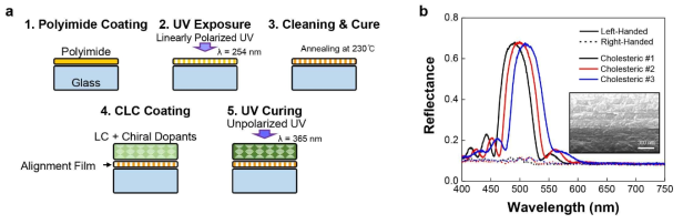 (a) 카이랄 거울의 제작법 및 (b) 원편광 방향에 따른 반사율 스펙트럼