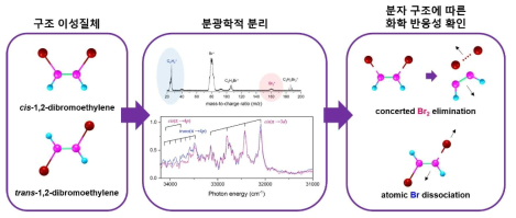 피코초 레이저로 1,2-dibromoethylene 분자의 Rydberg 전이를 일으켜 분광학적으로 cis-trans 구조이성질체를 분리하였으며, 이후 동역학 연구를 수행하여 cis 구조와 trans 구조의 서로 다른 들뜬 상태 반응성을 밝혀냈다