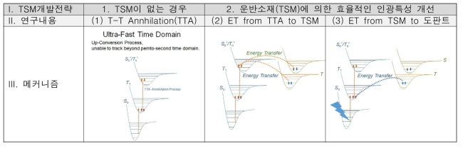 TSM을 이용한 청색 인광 효율 극대화 전략