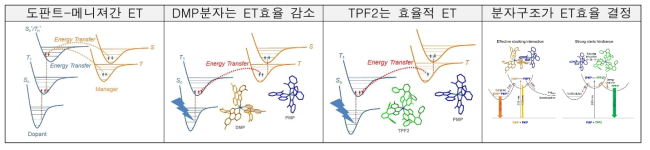 피코초 시분해능 광동역학을 이용한 분자구조에 따른 ET효율 결정