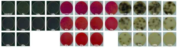 UVC-LED 처리시간에 따른 선택배지에 도말된 (a) E. coli O157:H7, (b) S. Typhimurium, (c) L.monocytogenes의 colony 수 변화