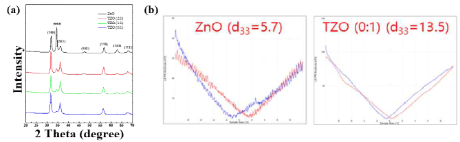 Tm(rare earth)이 도핑된 ZnO 박막의 (a) XRD 분석 및 (b) PFM 데이터