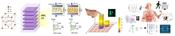 Perovskite 구조의 소재에 도핑 및 interlayer 도입 등의 방법을 통해 압력 감각 센싱 및 뉴로모픽 컴퓨팅을 동시에 구현하는 소자 개발