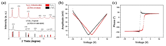 LiTaO3 박막의 (a) XRD 분석, (b) PFM 데이터 및 (c) hysteresis 곡선