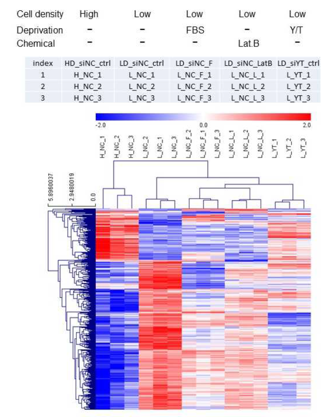 서로 다른 조건에서 RNA-Seq Analysis 결과