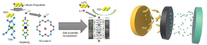 개발된 리튬-황전지 분리막의 폴리설파이드 용출 억제 및 분해과정 모식도
